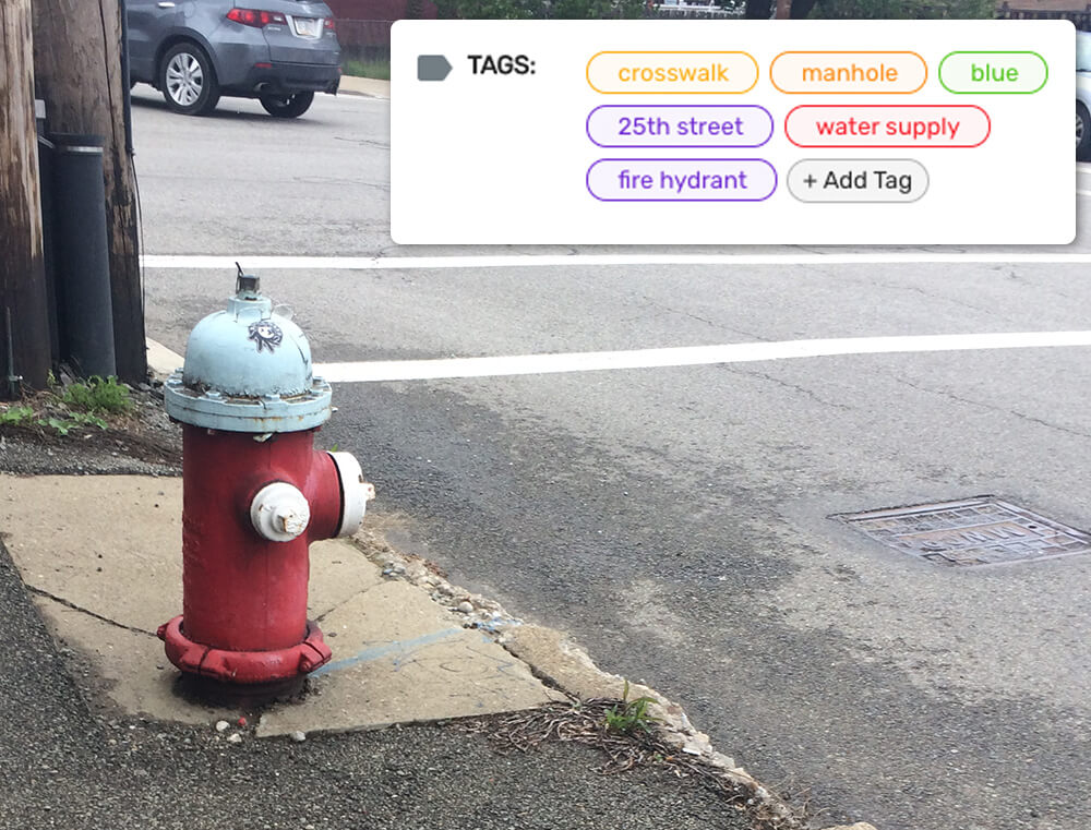 Fire Hydrant with tags on agilemapper