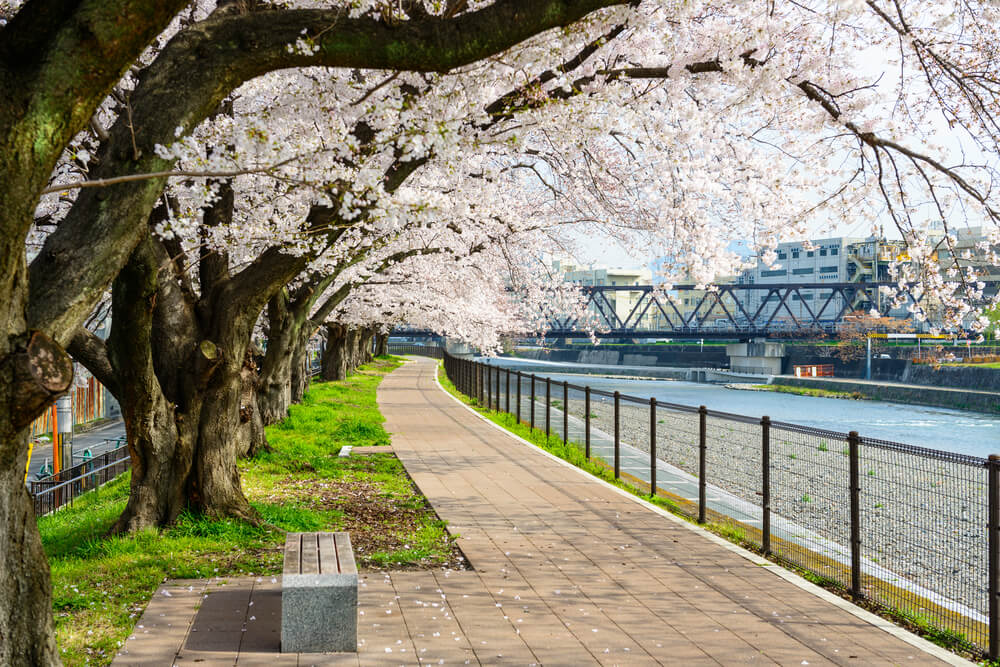 park sidewalk and bench